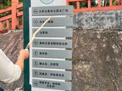 -火炉山森林公园
