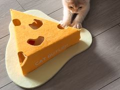 -安安宠医宠物医院·异宠·犬猫内科(岳阳分院)