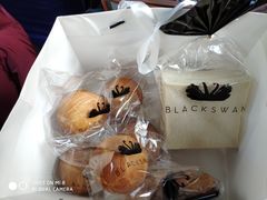 -BLACKSWAN黑天鹅(环球店)
