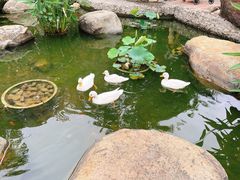 -灵玲国际马戏城