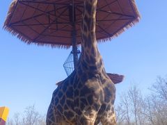 -济南野生动物世界