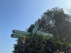 -巢湖姥山岛