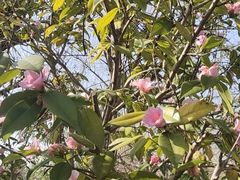 -长江文明馆
