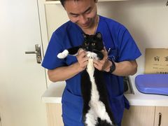 -芭比堂动物医院·犬猫全科·异宠专科(雁塔分院)