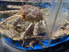 -徐记海鲜·宴会(大唐西市|丰庆店)