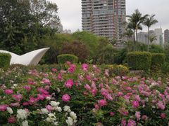 -人民公园(罗湖区)