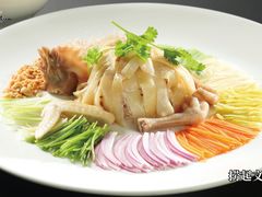 -皇马假日醉海南大酒店·假日一品派茶楼(秀英店)