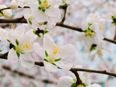 -红星美凯龙(东北全球家居1号店)