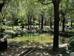 -沕沕水生态风景区