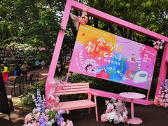 -金鸡湖桃花岛