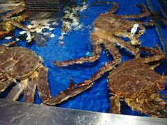 -盒马鲜生(莱蒙都会店)