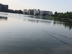 -美兰湖景区