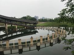 -眉山湿地公园(东坡区)