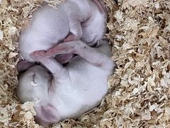 -上海大自然野生昆虫馆