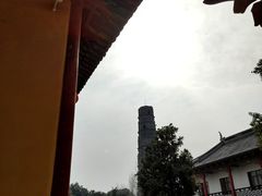 -上海青龙寺
