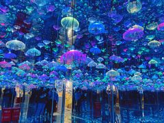 -梵高星空艺术馆(北京旗舰店)