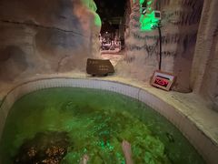 -泉城欧乐堡戏水湾艺术养生温泉