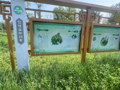 -东郊湿地公园