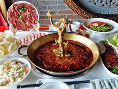 -小龙翻大江文化火锅(宽窄店)