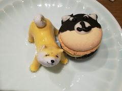 -柴务处·柴犬主题狗咖