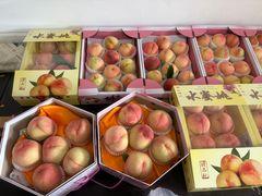 -南汇水蜜桃采摘(大团店)