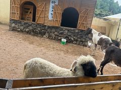 -HERRE·FARM 赫尔露营农场·团建聚会包场