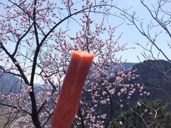 -苍岩山风景名胜区