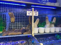 -开海·红岛海鲜虾水饺(石老人店)