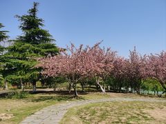 -白塘生态植物园