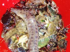 -日照灯塔风景区