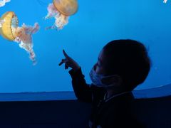 -太平洋海底世界