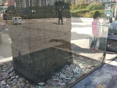 -陕西自然博物馆