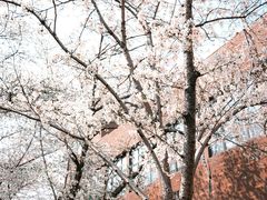 -浙江大学(玉泉校区)