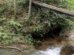-黄公望隐居地
