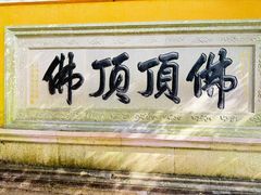 -普陀山慧济禅寺