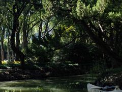 -上海醉白池公园