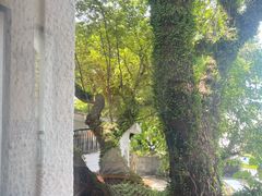 -澳门圣地牙哥古堡酒店