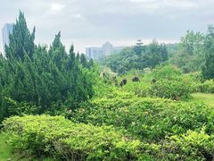 -南沙蒲洲花园
