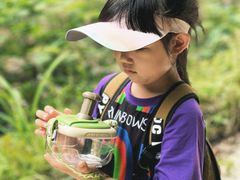 -素山寺森林公园