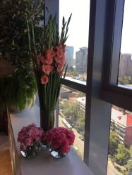 -北京米扬丽格医疗美容·联合丽格鼻整形中心