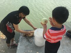 -乡乐园蟹庄·阳澄湖农家乐