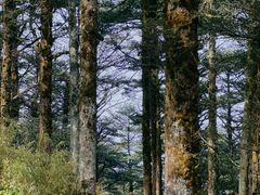 -峨眉山风景名胜区