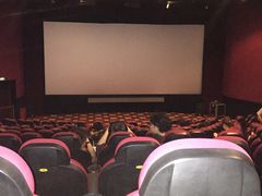 -AMG海上明珠影城(上海环球港RealDCinema店)