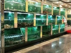 水产区-石湖大酒店(桐泾店)