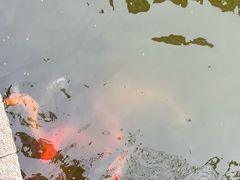 -金砂公园