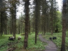 -硗碛藏寨·神木垒景区