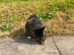 -清心素食自助餐厅(夫子庙店)