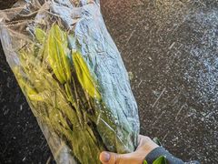 -循礼门鲜花花市(武汉循礼门店)