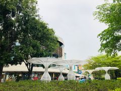 -深圳湾公园(南山区)