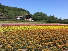 iphone_upload_pic-富田农场